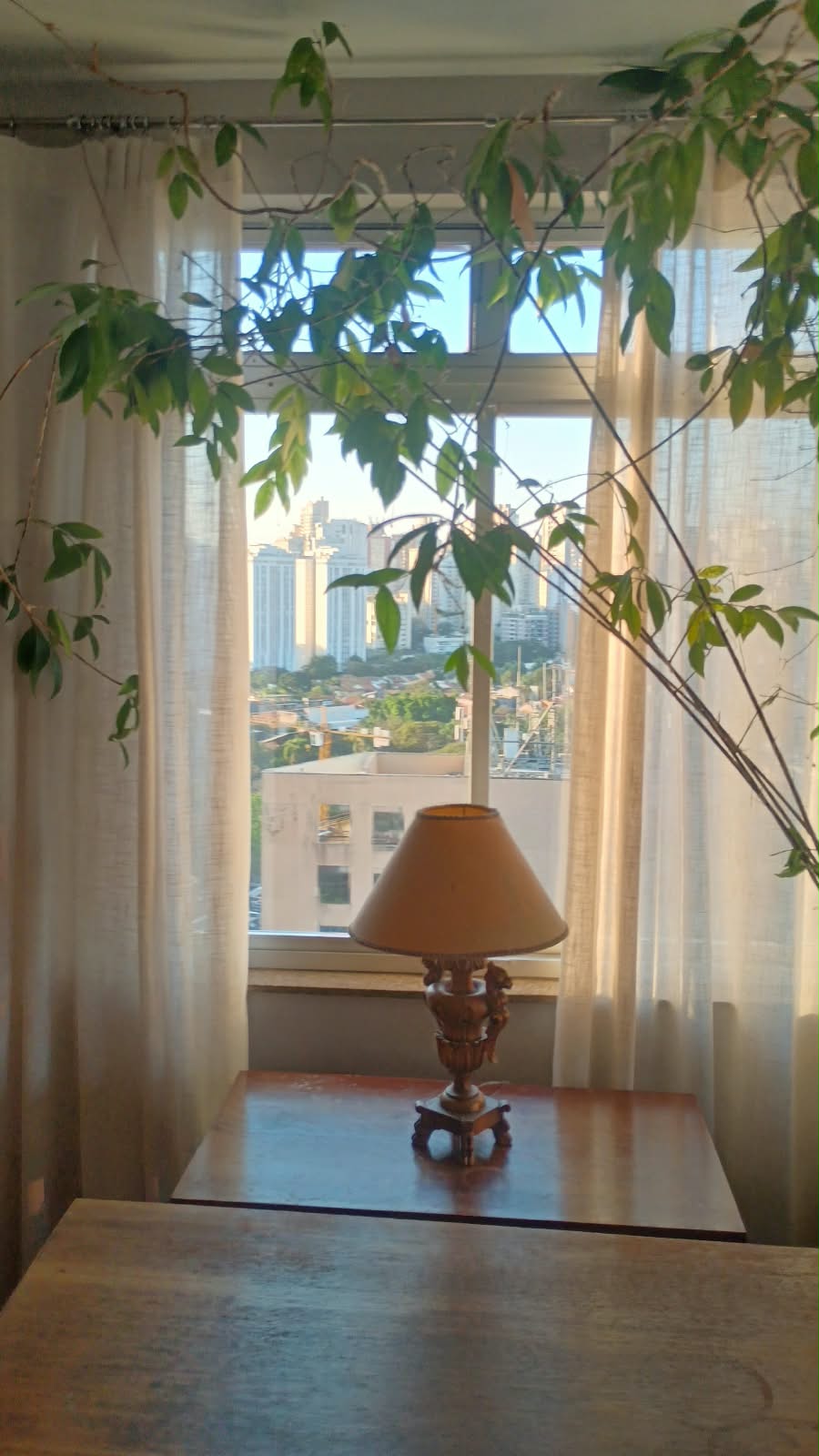 Ambiente residencial iluminado com janela protegida